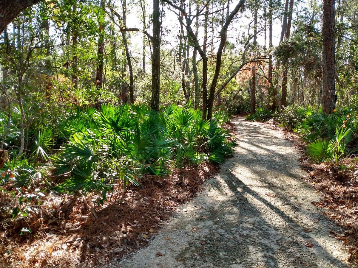 Jeff Friend Trail