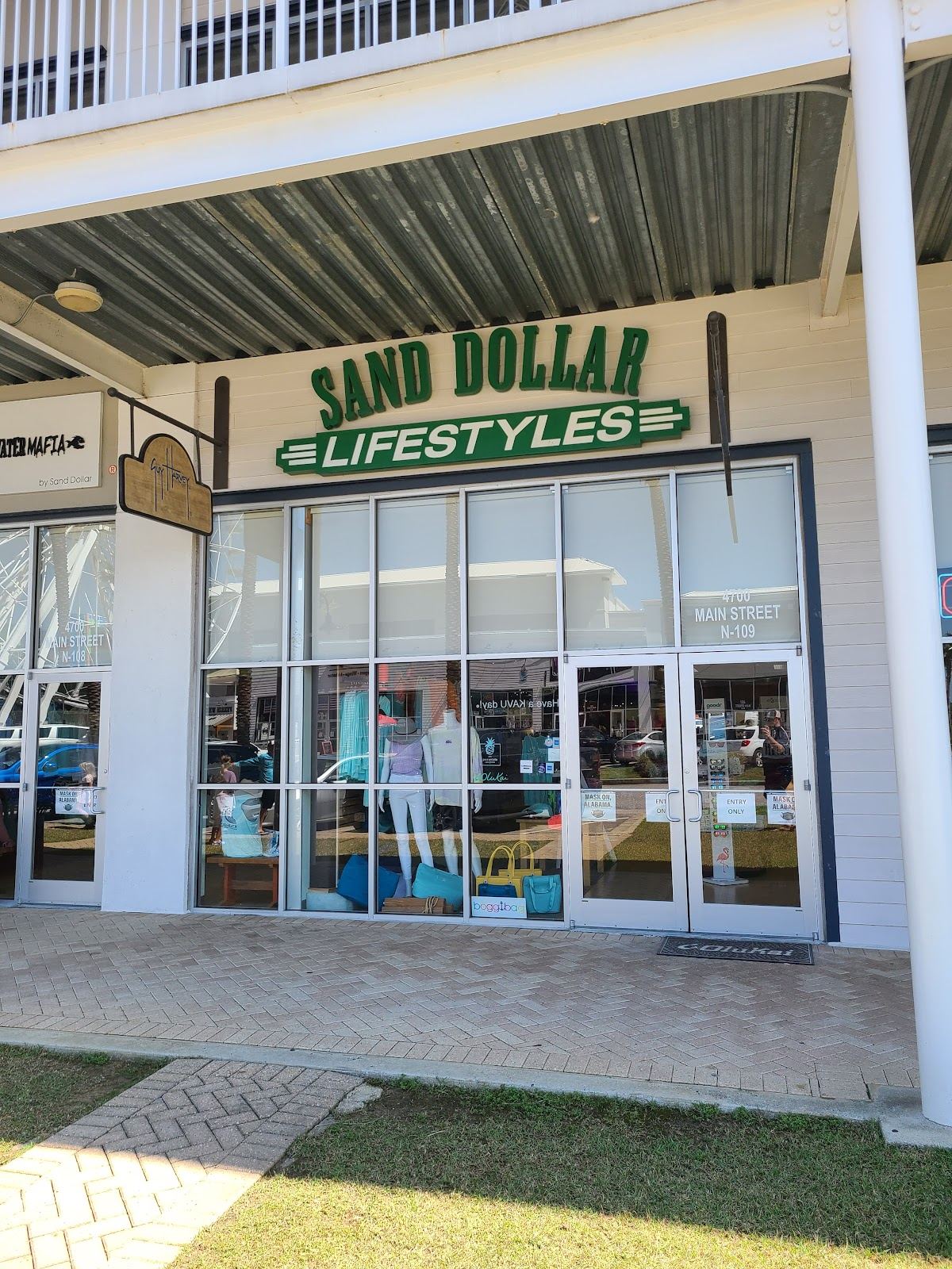 Sand Dollar Lifestyles