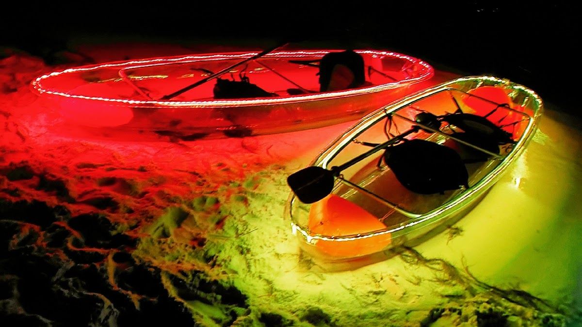 Sea View Tours