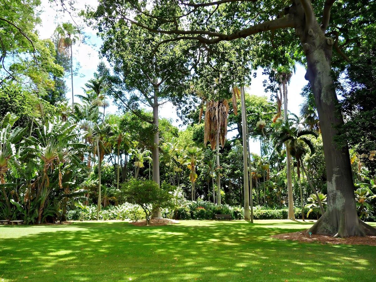 Foster Botanical Garden