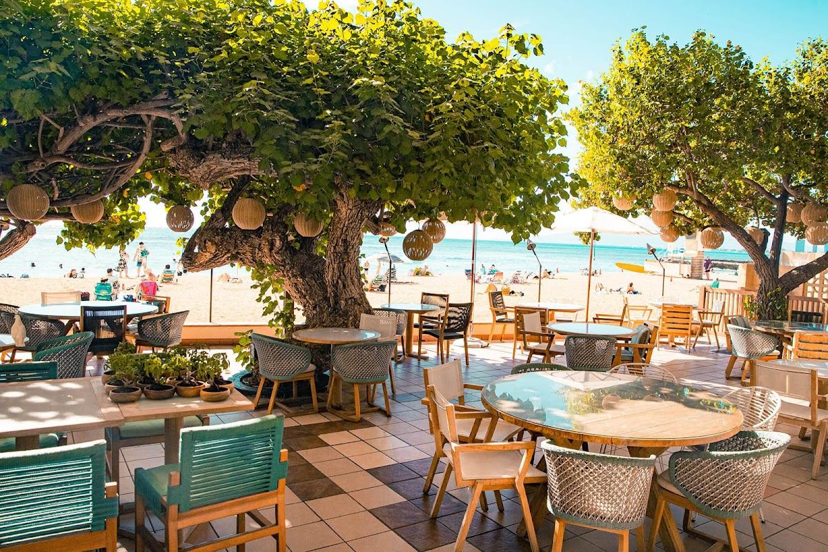 Hau Tree