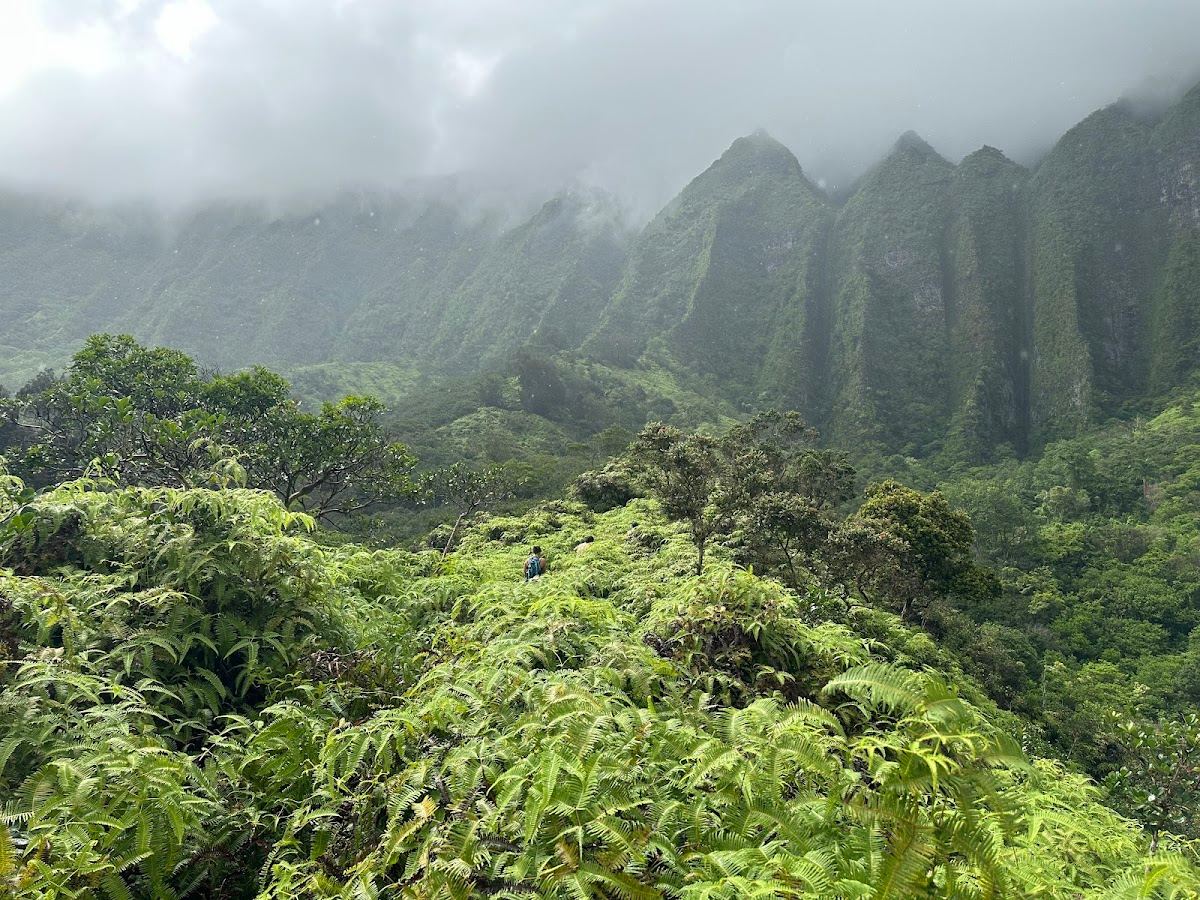 Maunawili Falls via Maunawili Demonstration Trail