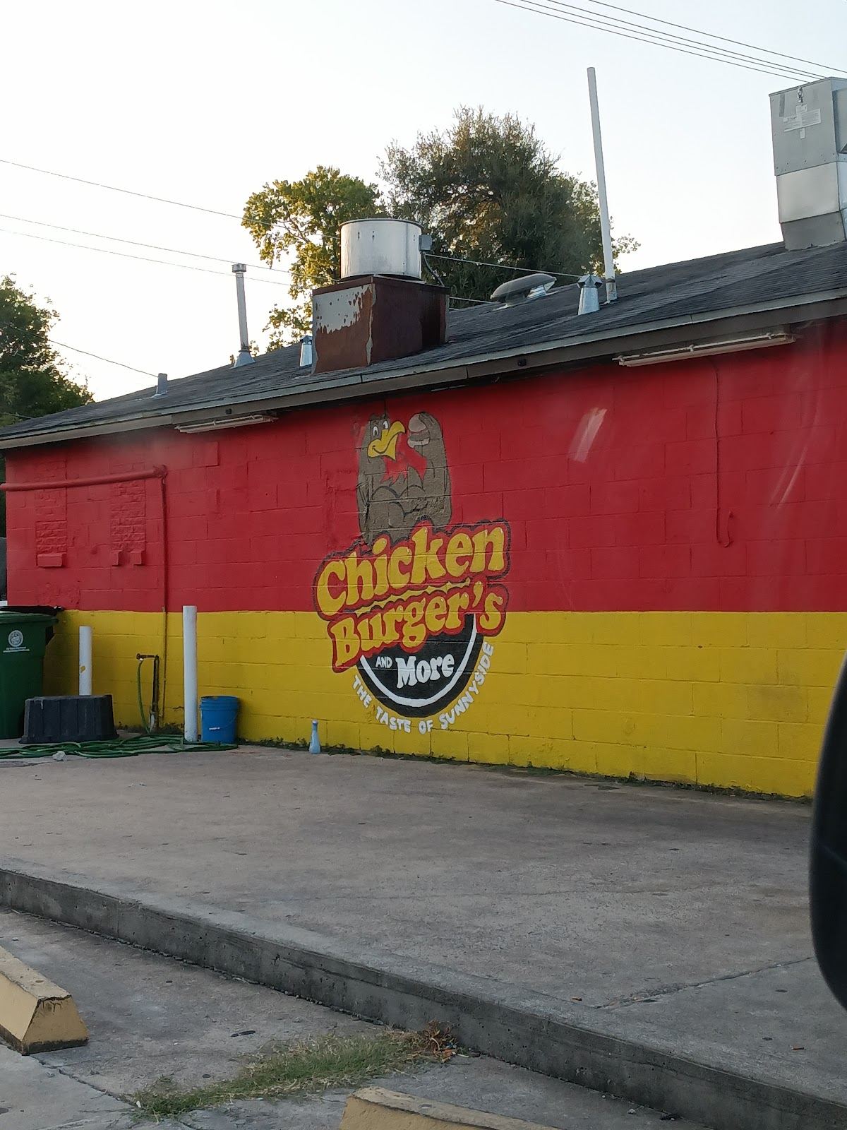 Chicken, Burgers, & More