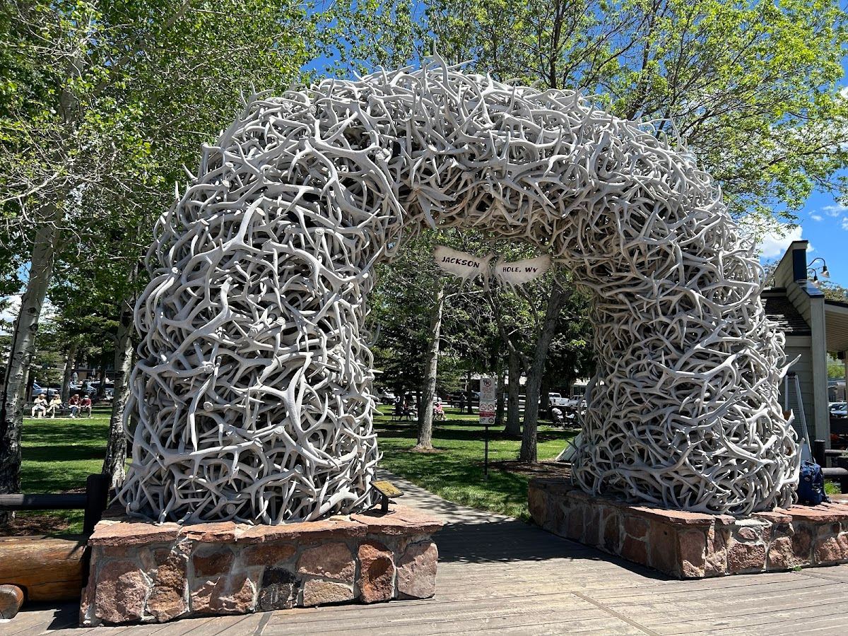 Elk Antler Arch