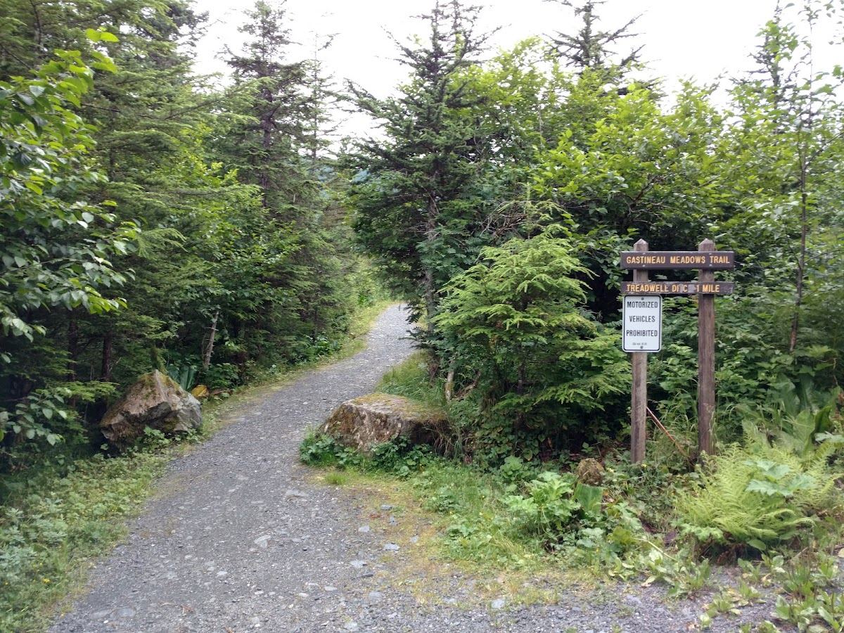 Gastineau Meadows Trail