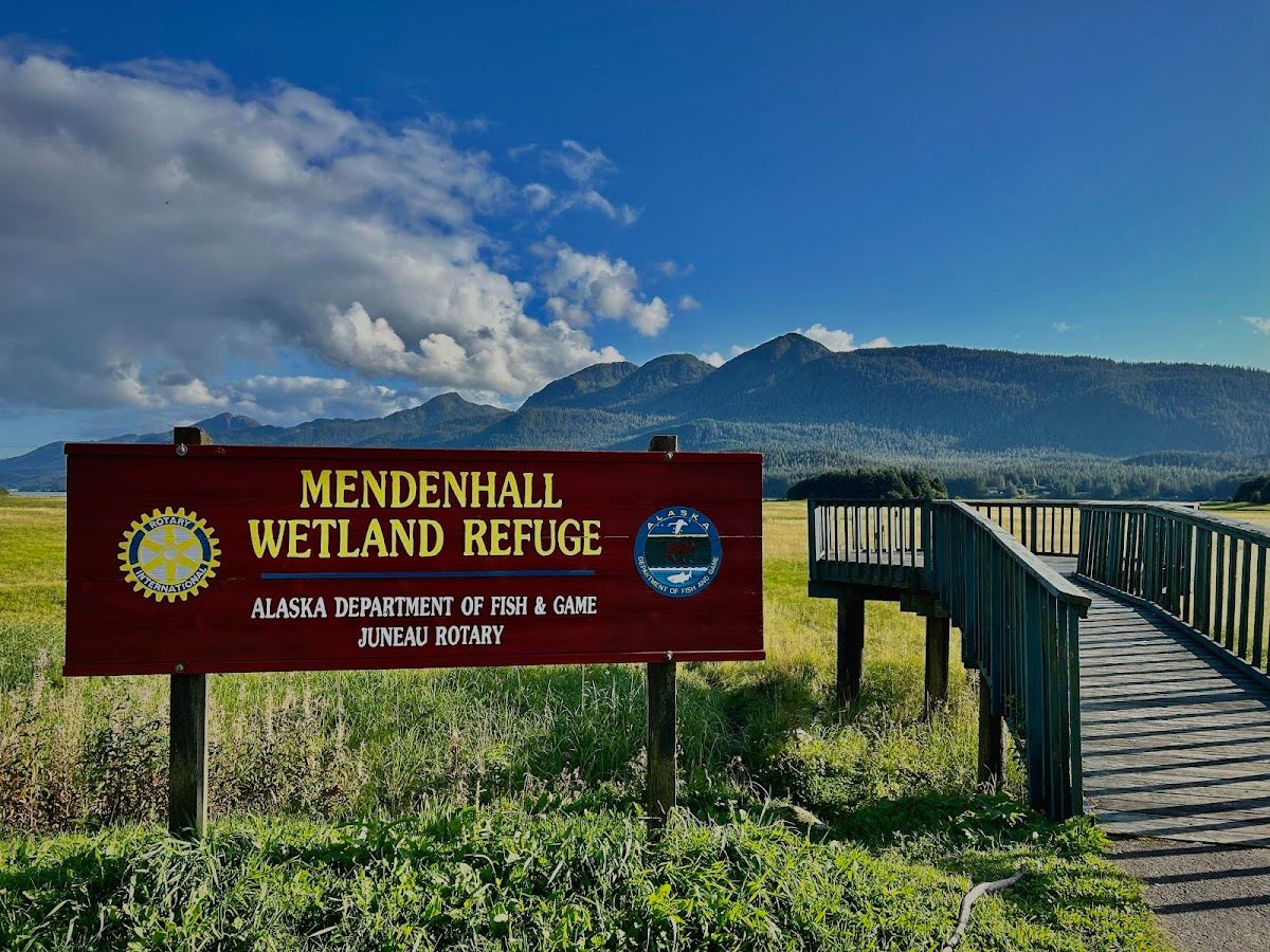 Mendenhall Wetlands Scenic View Turnout