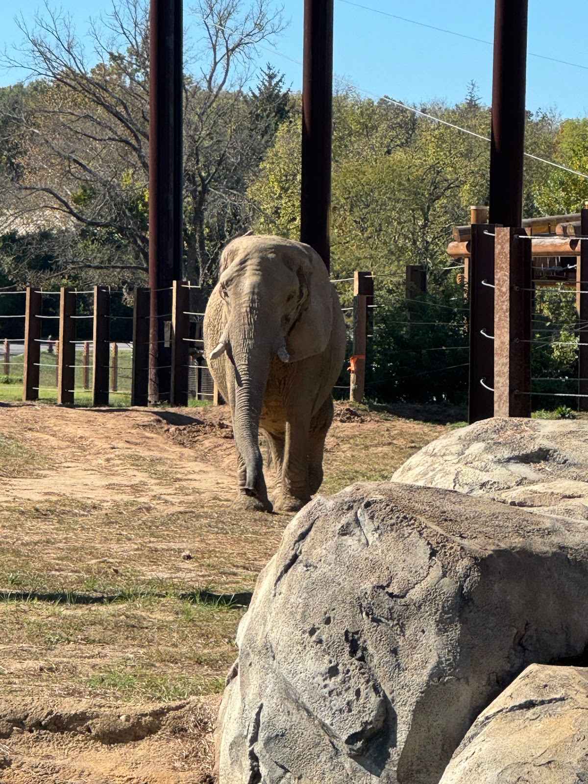 Tram Stop Elephant Station