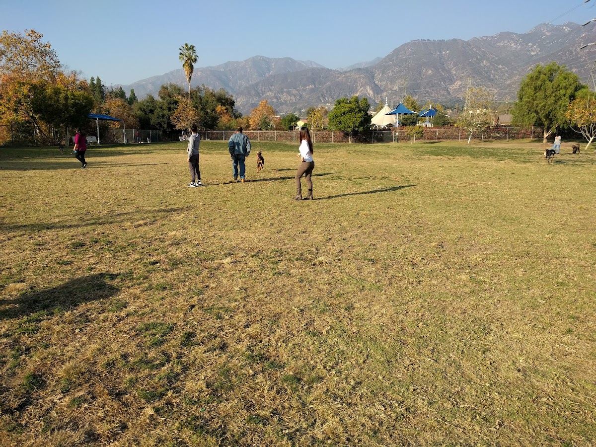 Alice's Dog Park