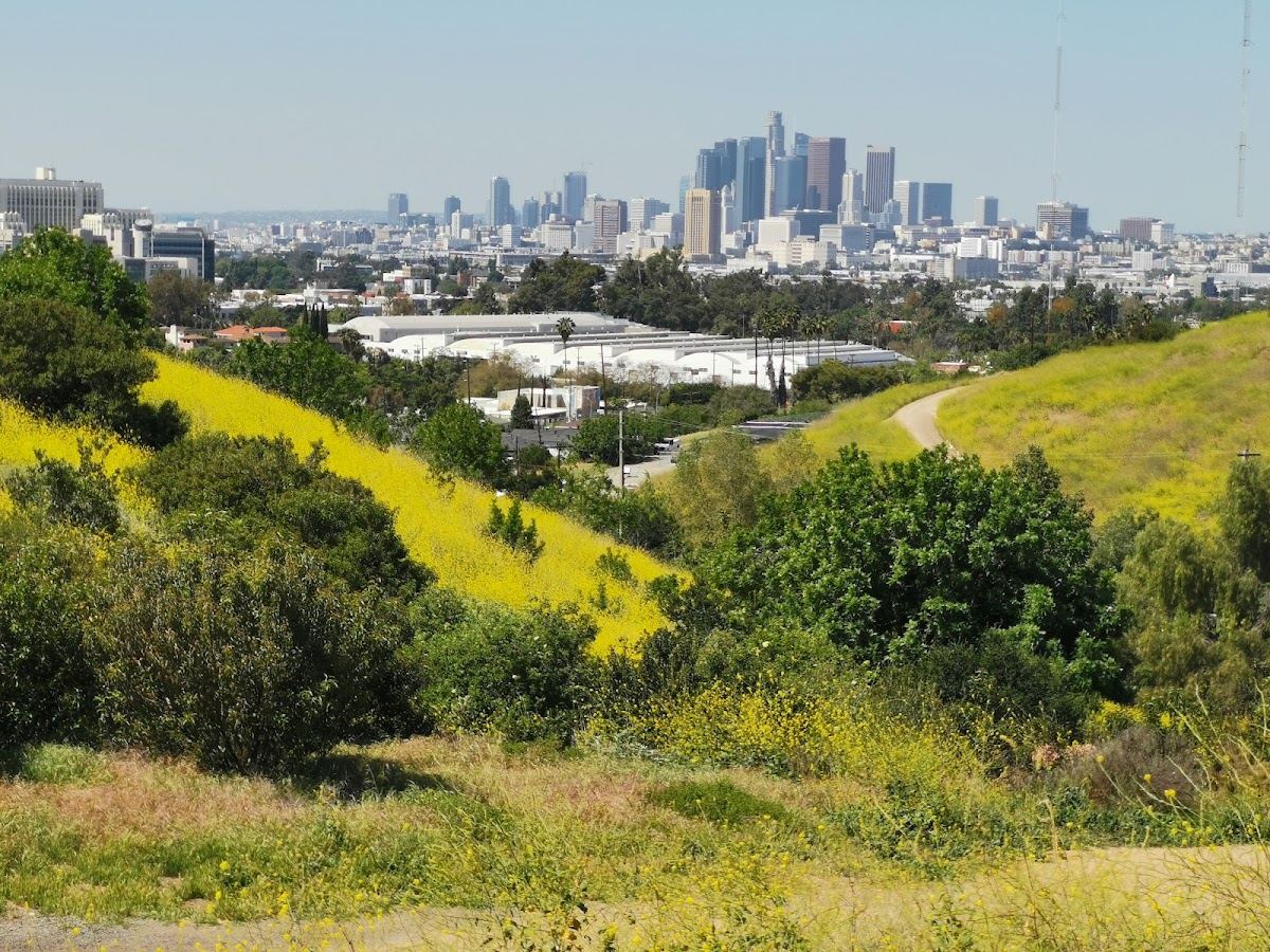 Ascot Hills Park