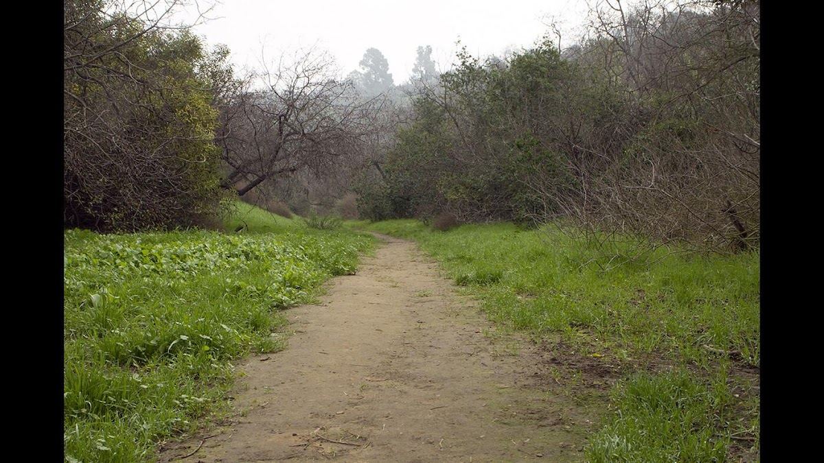Elyria Canyon Park
