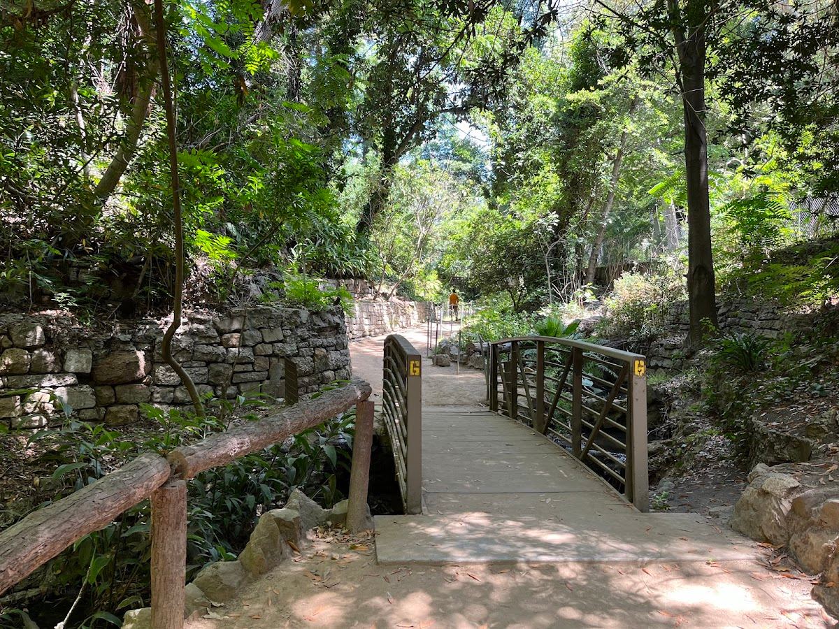Ferndell Nature Trail