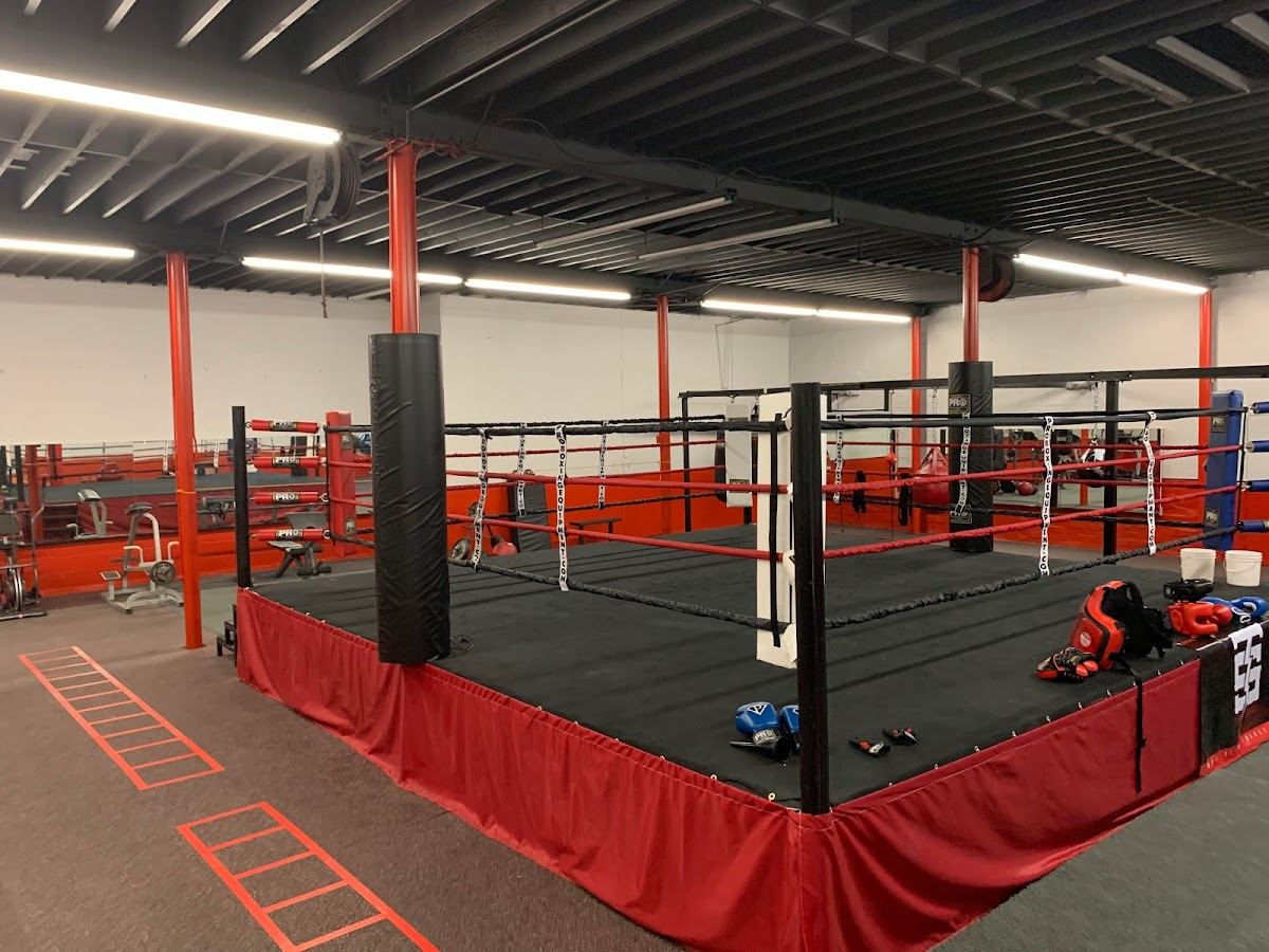 Knockouts Boxing