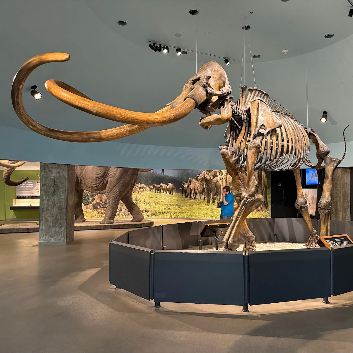 La Brea Tar Pits and Museum