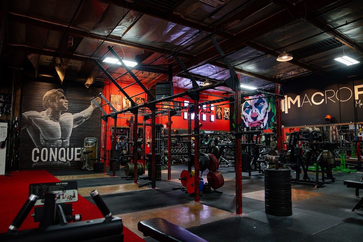 Madhouse Gains Asylum