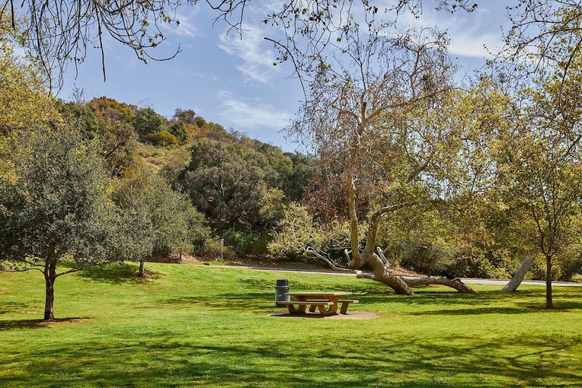 Mineral Wells Picnic Area