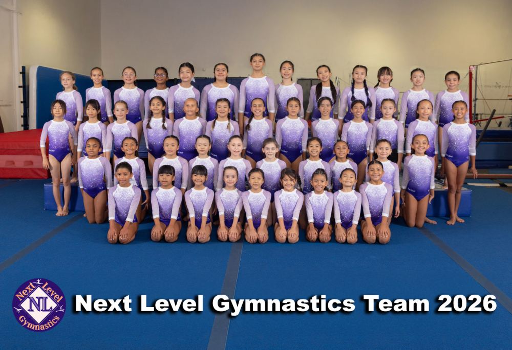 Next Level Gymnastics