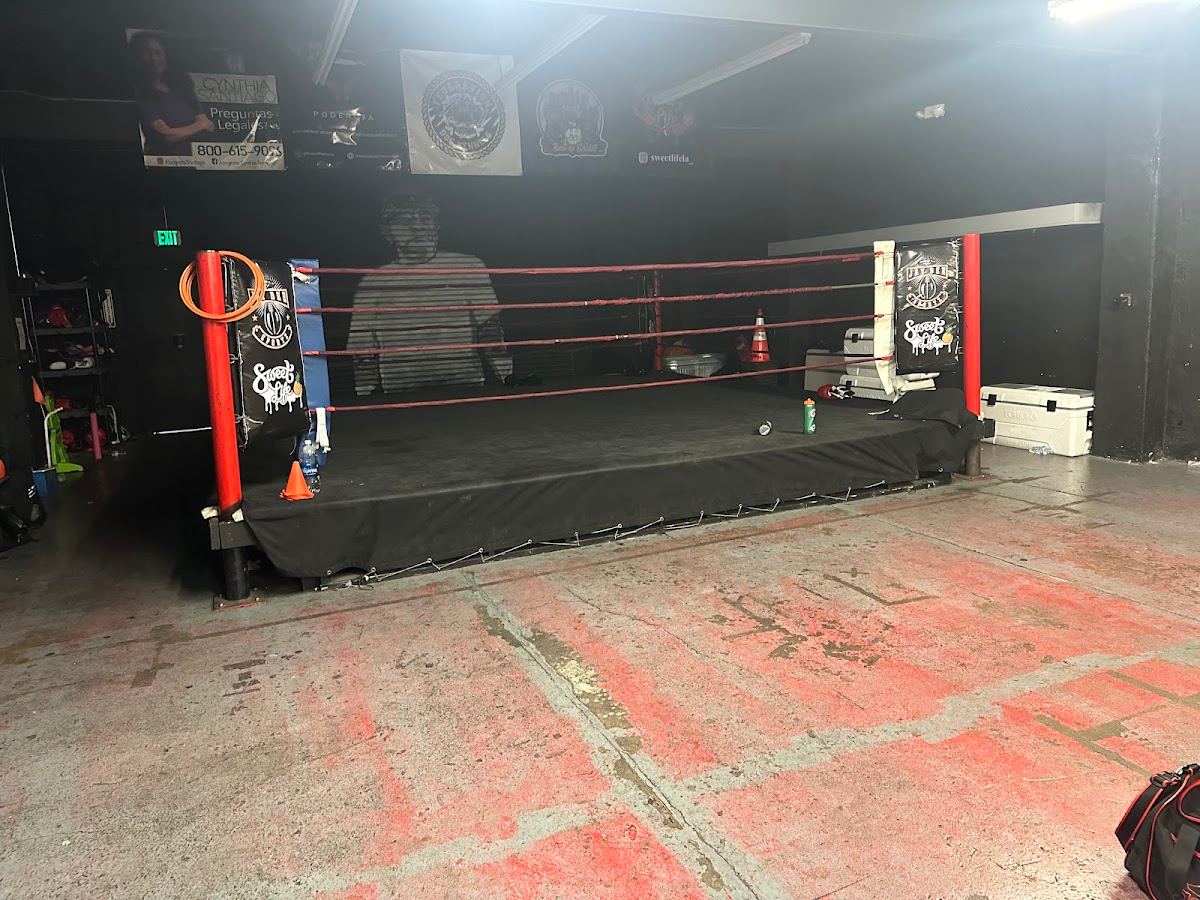 NGBA Boxing