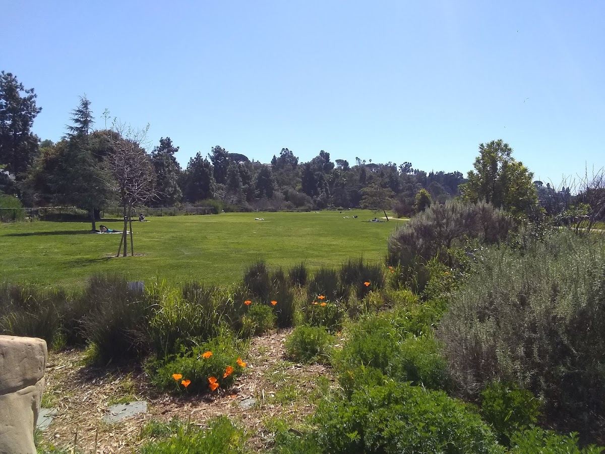 Silver Lake Meadows