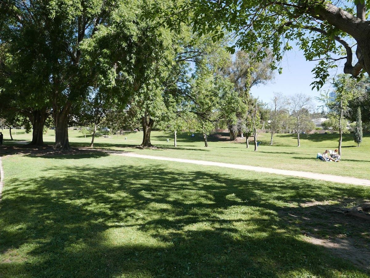 South Weddington Park