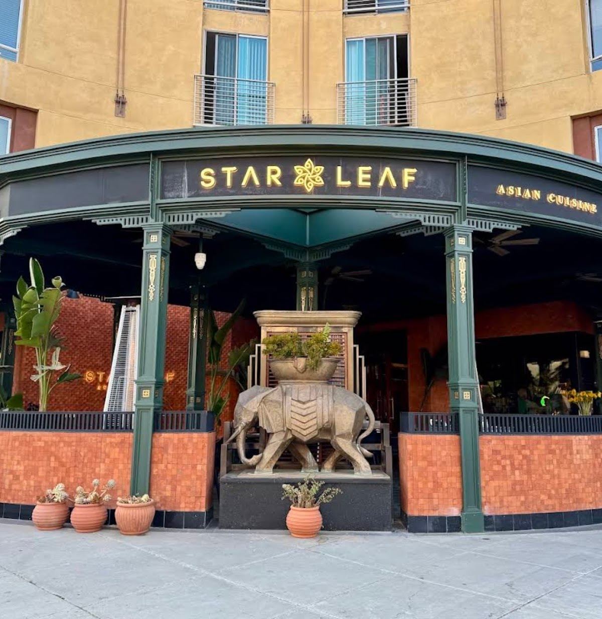 Star Leaf
