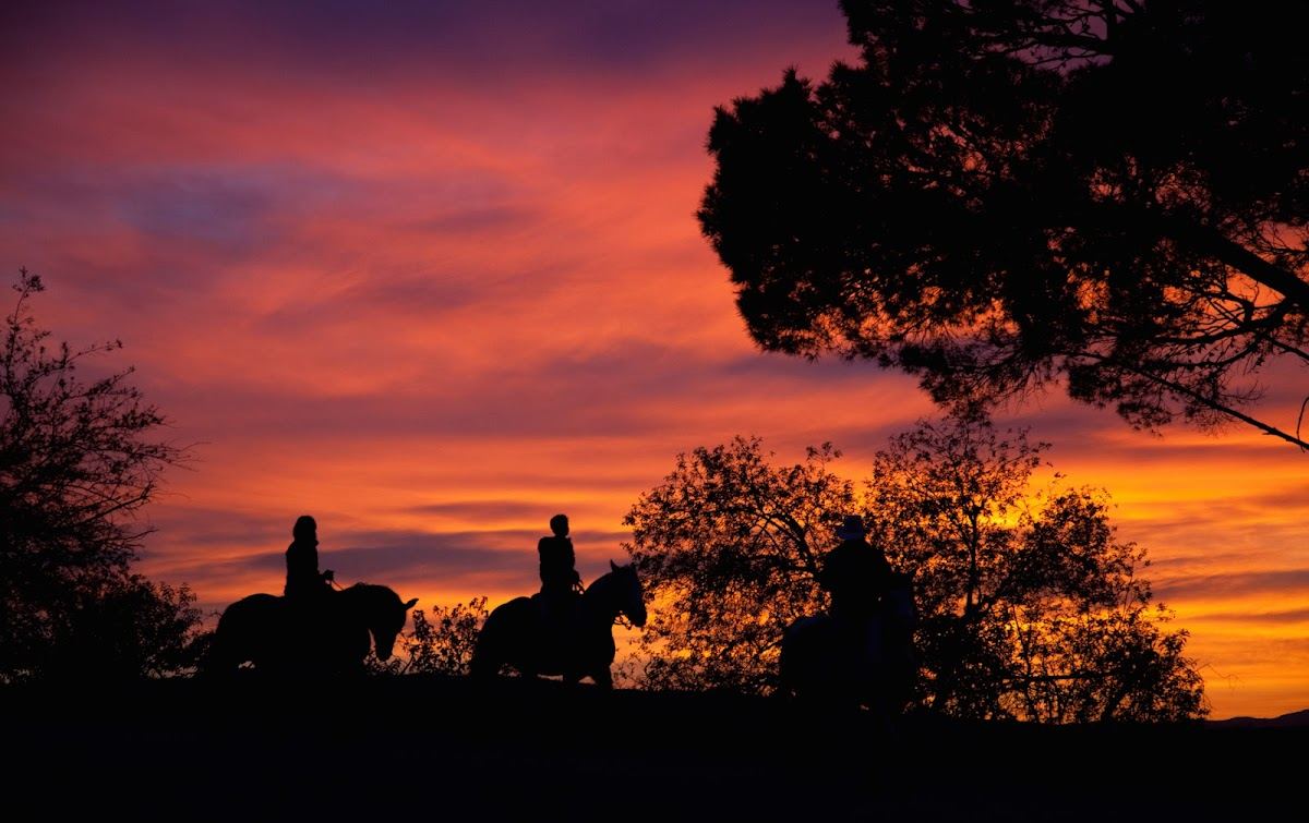 Sunset Ranch Hollywood