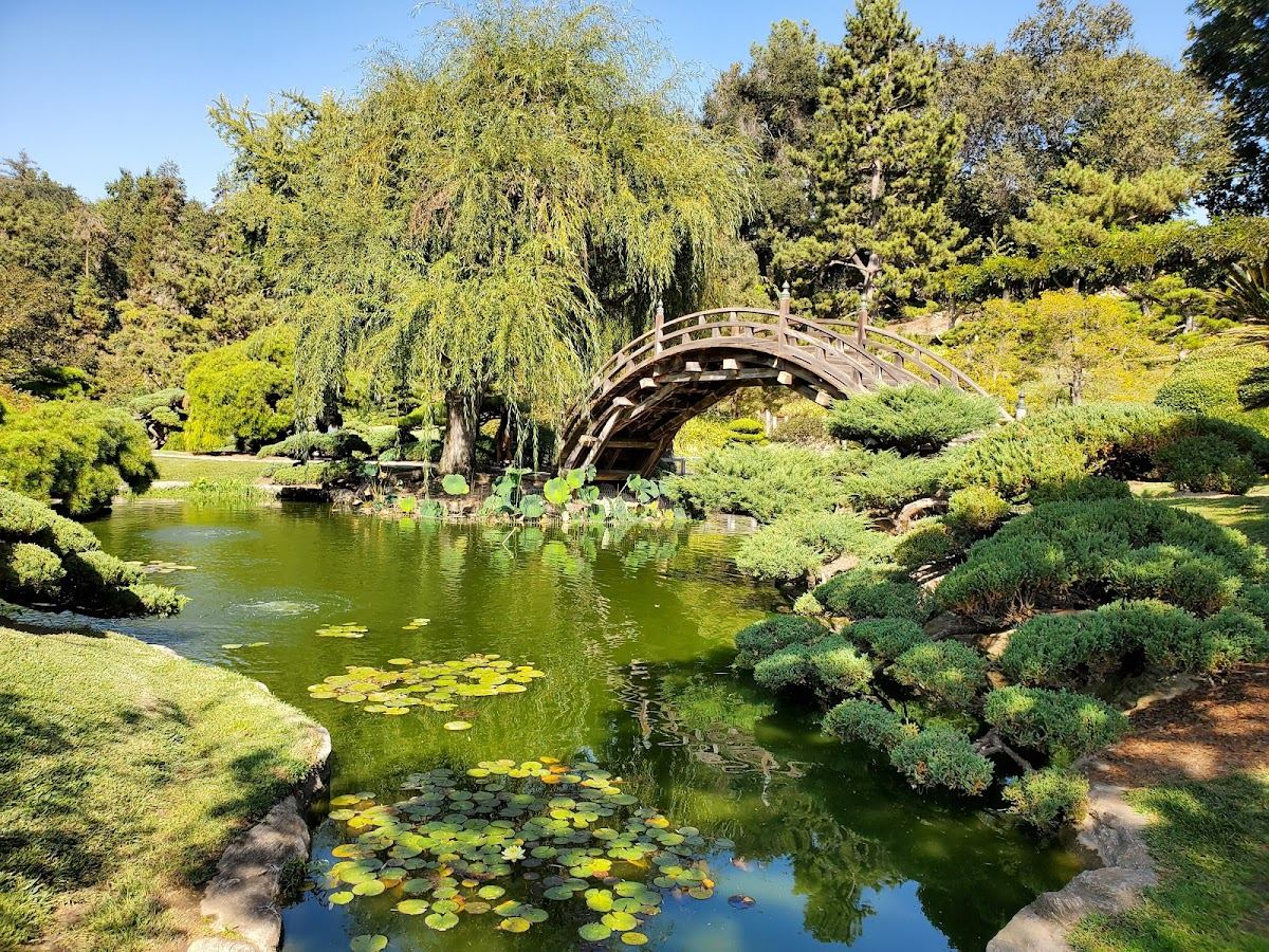 The Huntington Japanese Garden