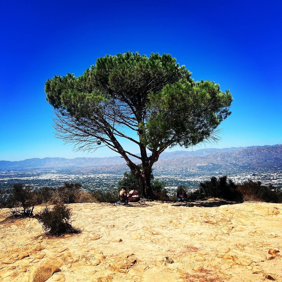 Wonder View Trailhead