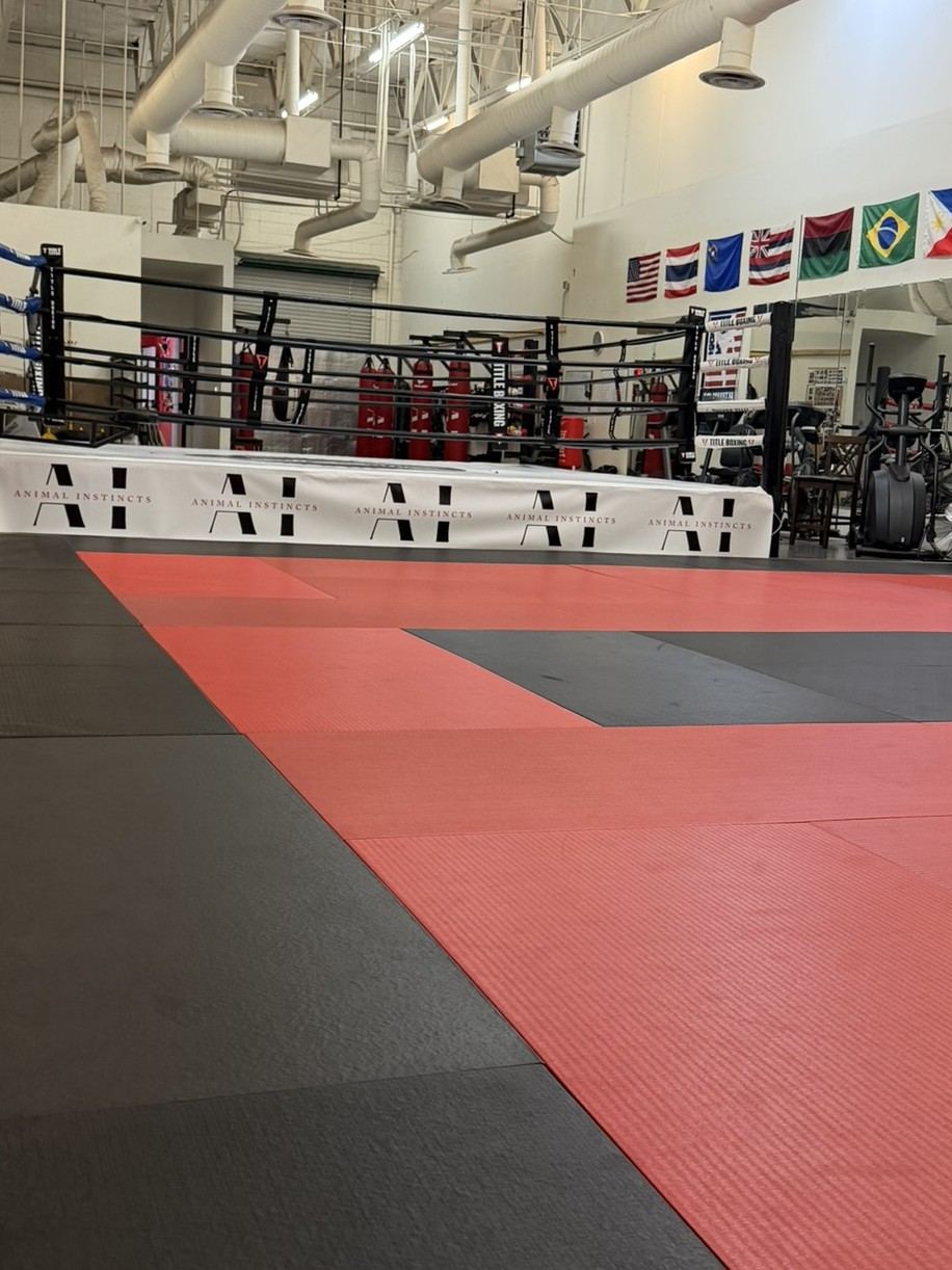 Animal Instincts Muay Thai & BJJ