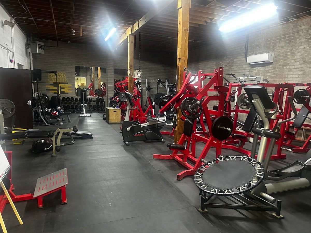 Never QuiT Boxing Gym