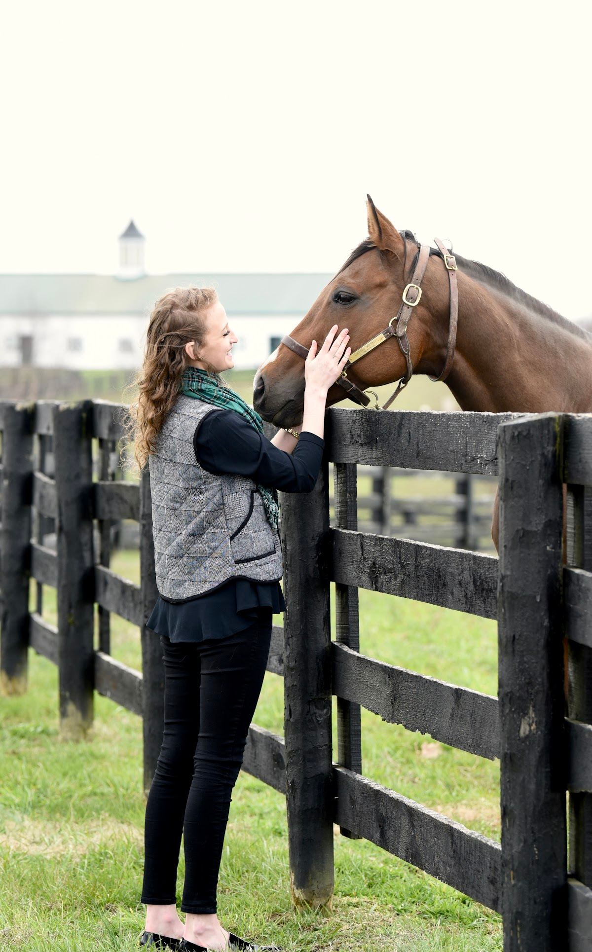 Horse Country