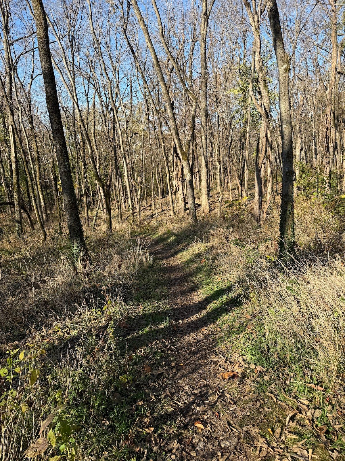 Preston's Spring Park