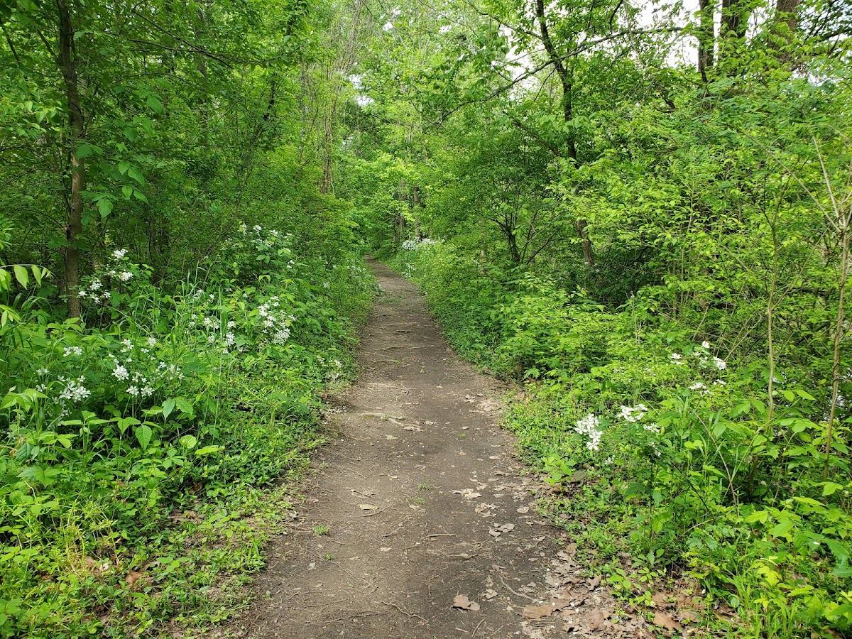 Caperton Swamp Park