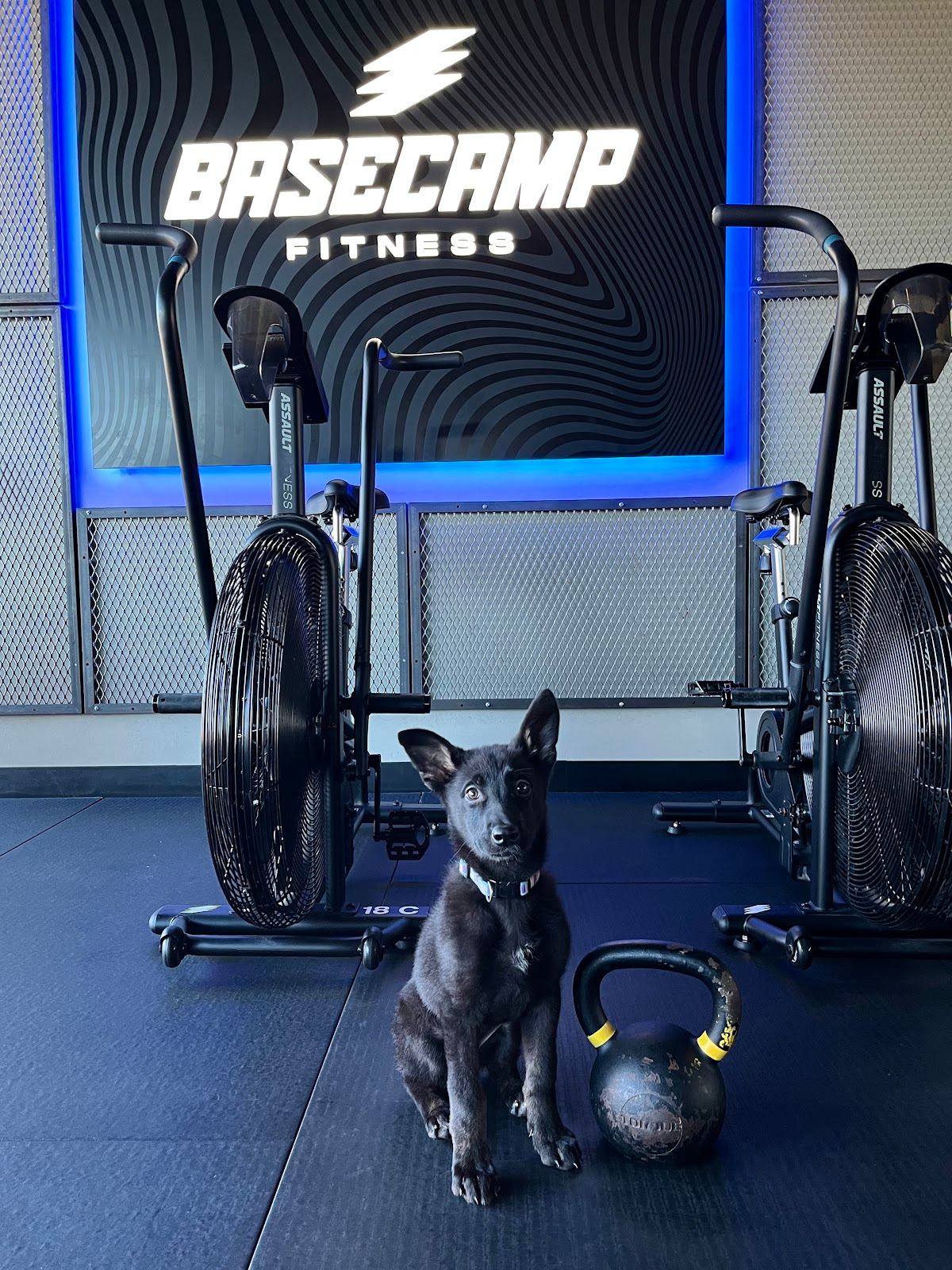 Basecamp Fitness Madison (East)