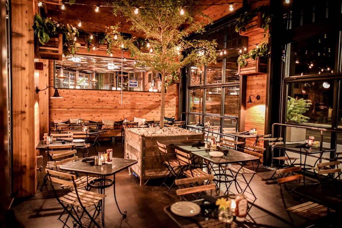 Café Hollander Hilldale