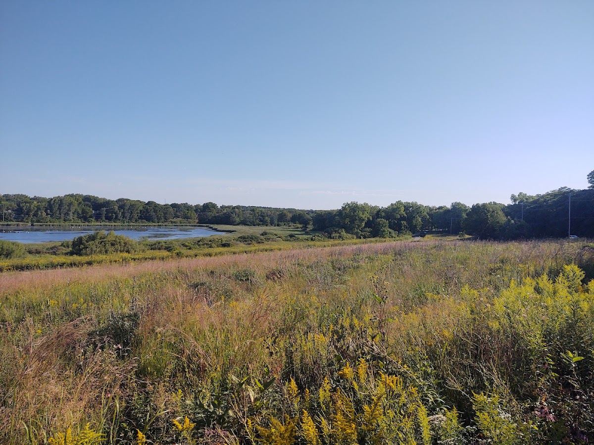 Dawley Conservancy