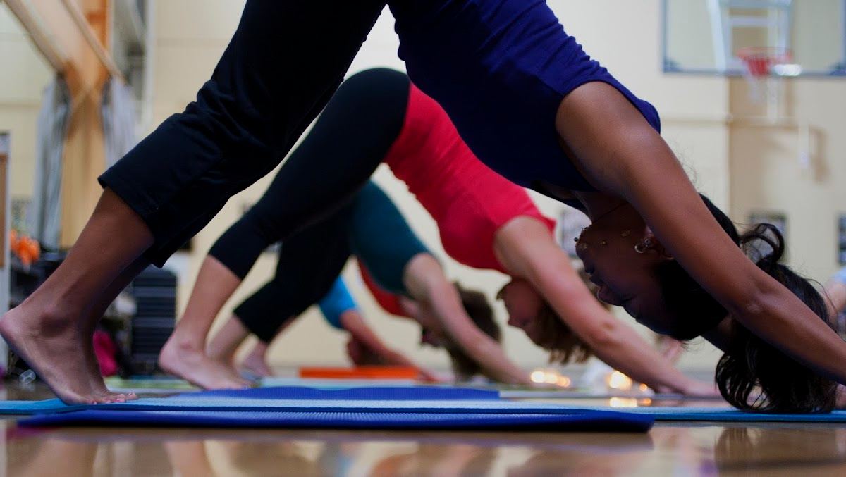 Harbor Wellness Studios