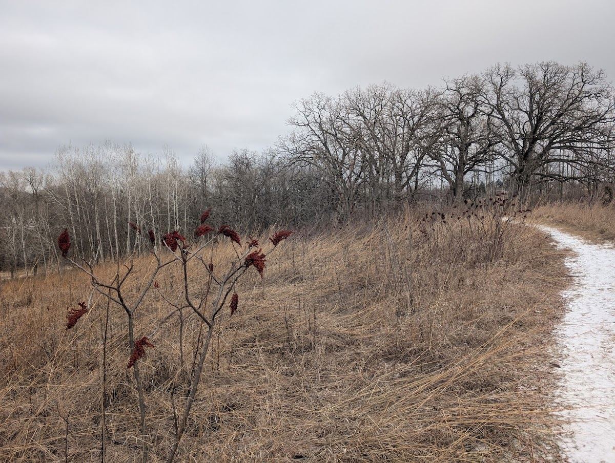 Heritage Prairie