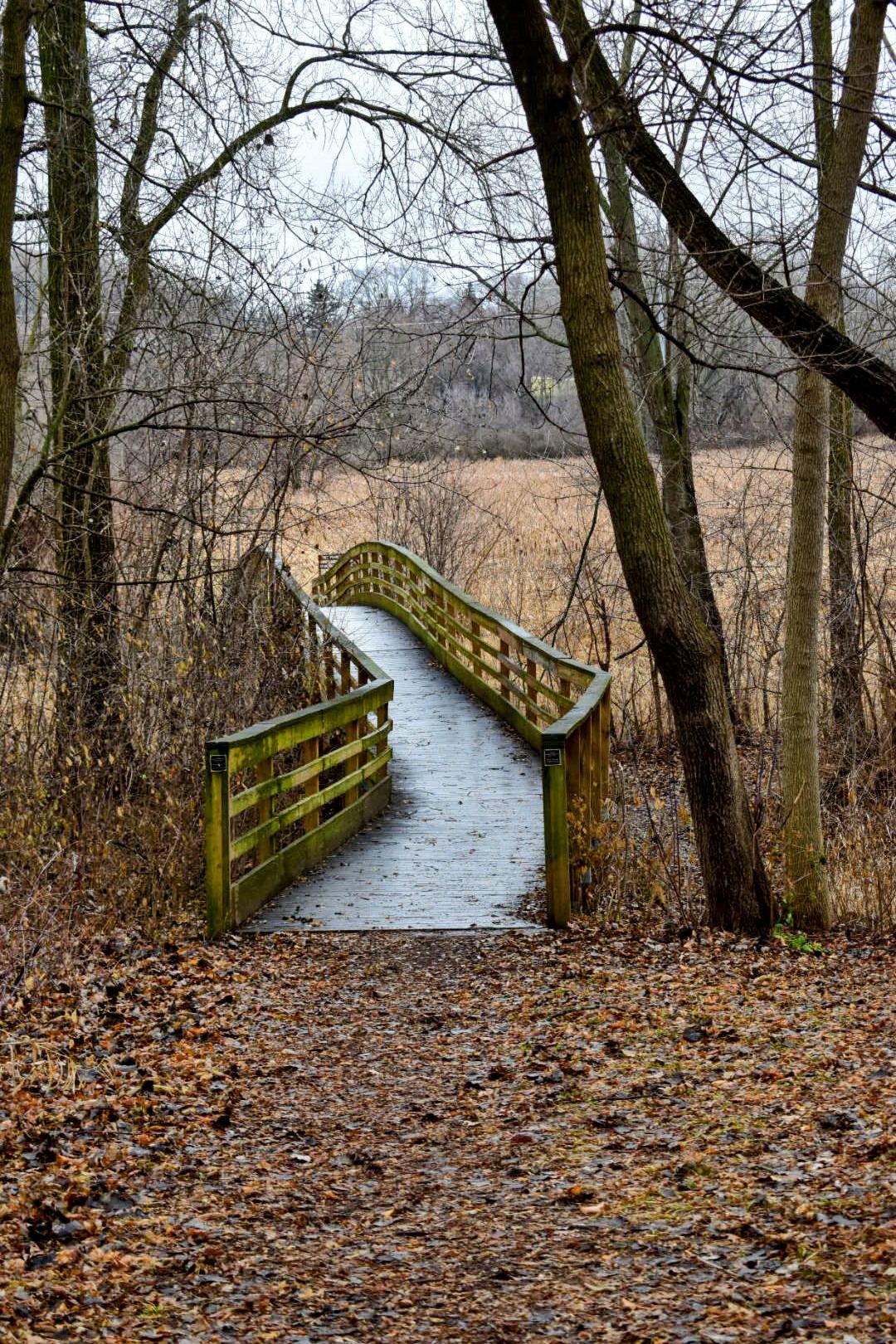 Indian Springs Park