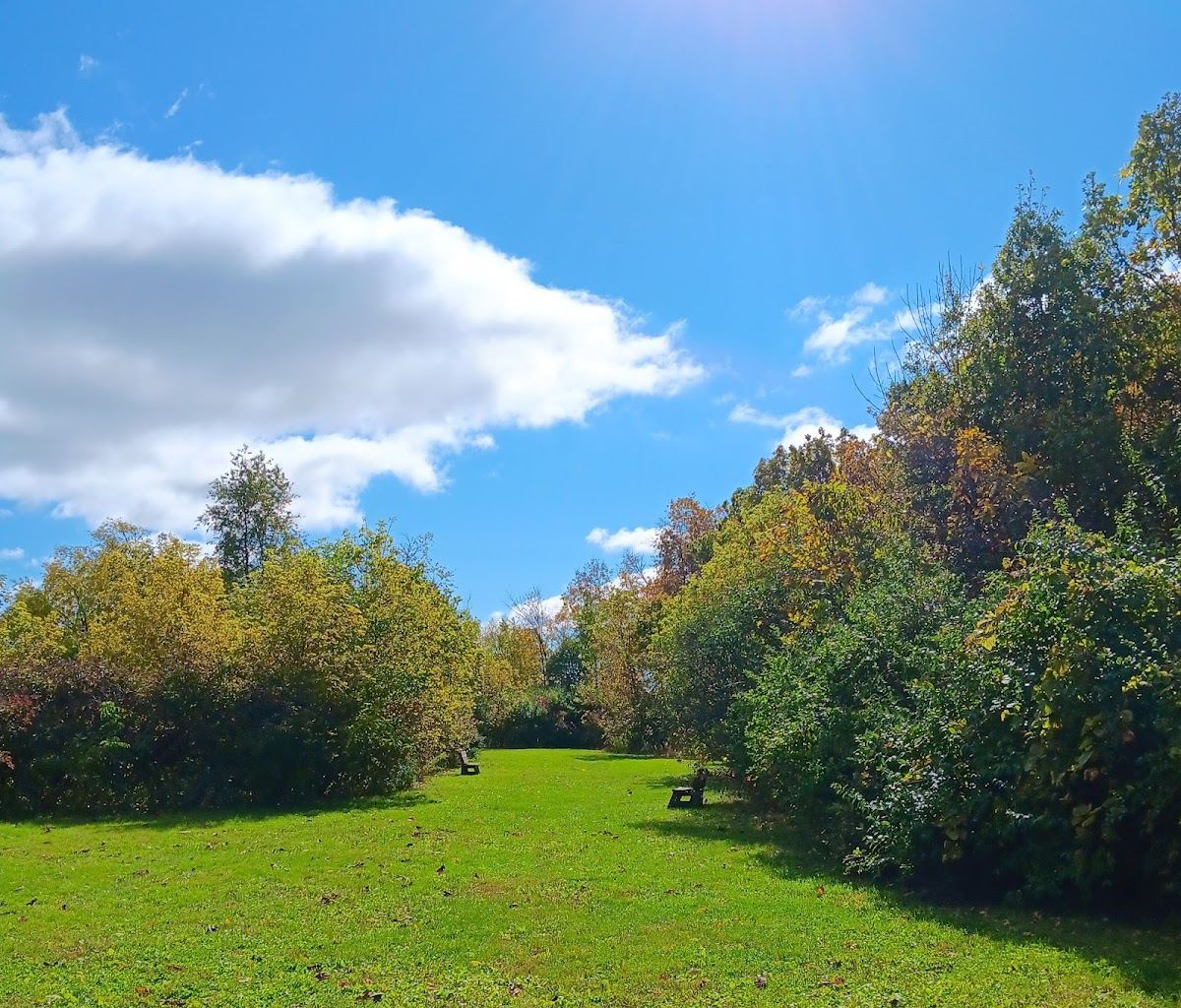 McFarland Dog Park