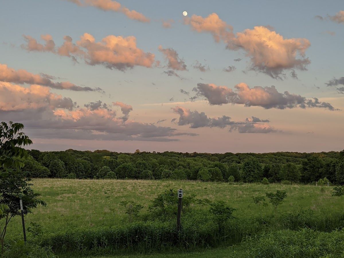 Owen Conservation Park