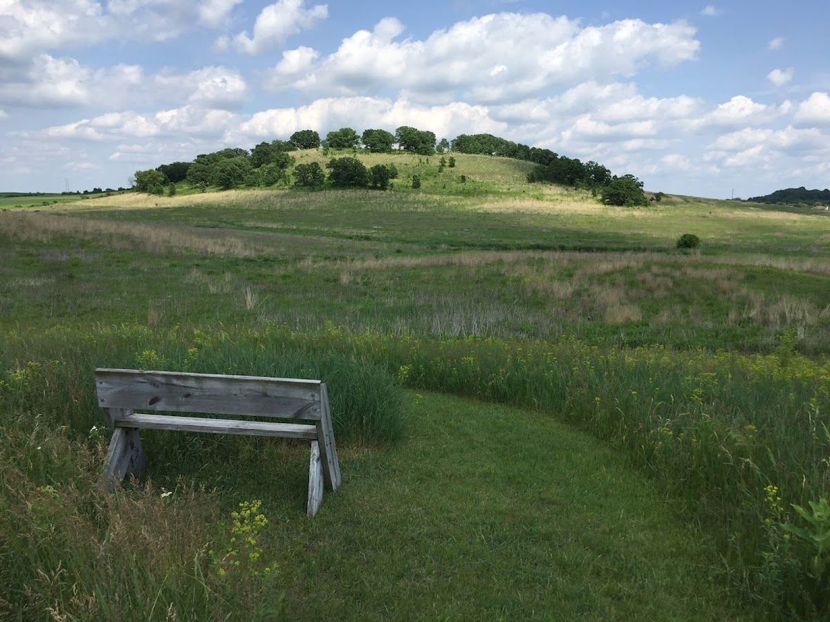 Pheasant Branch Conservancy