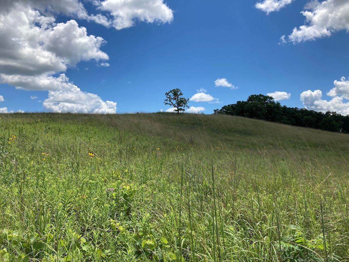 Prairie Ridge Conservation Park