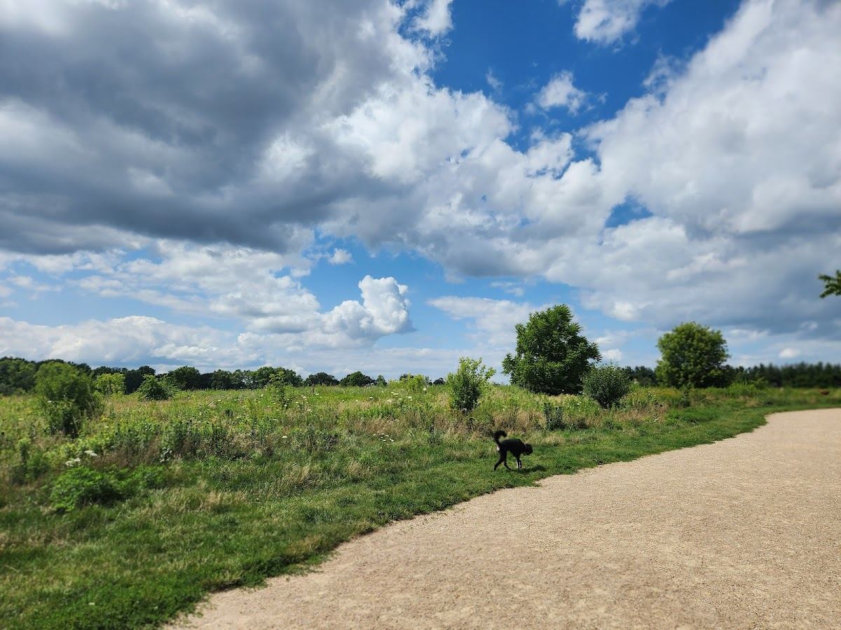 Quann Park