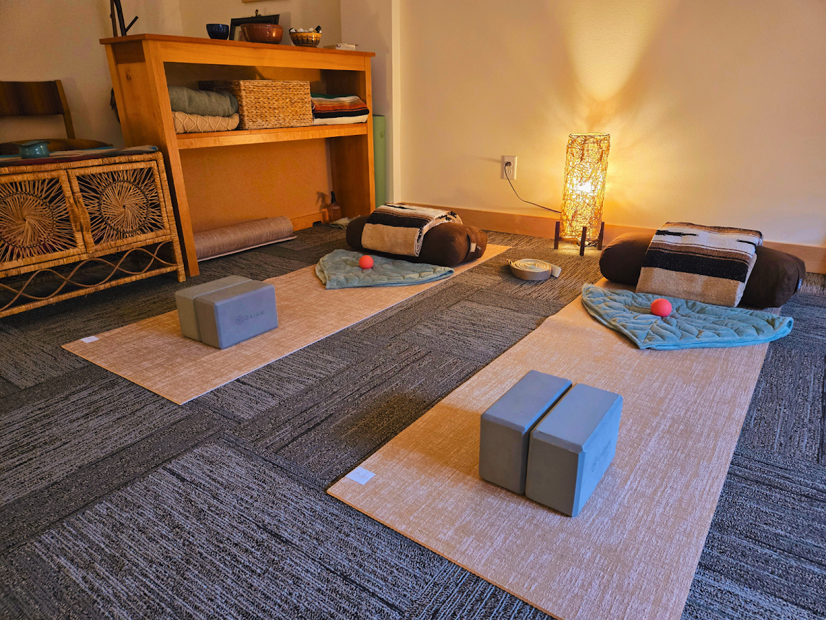 Seeds of Sukha – Somatic Yoga Therapy