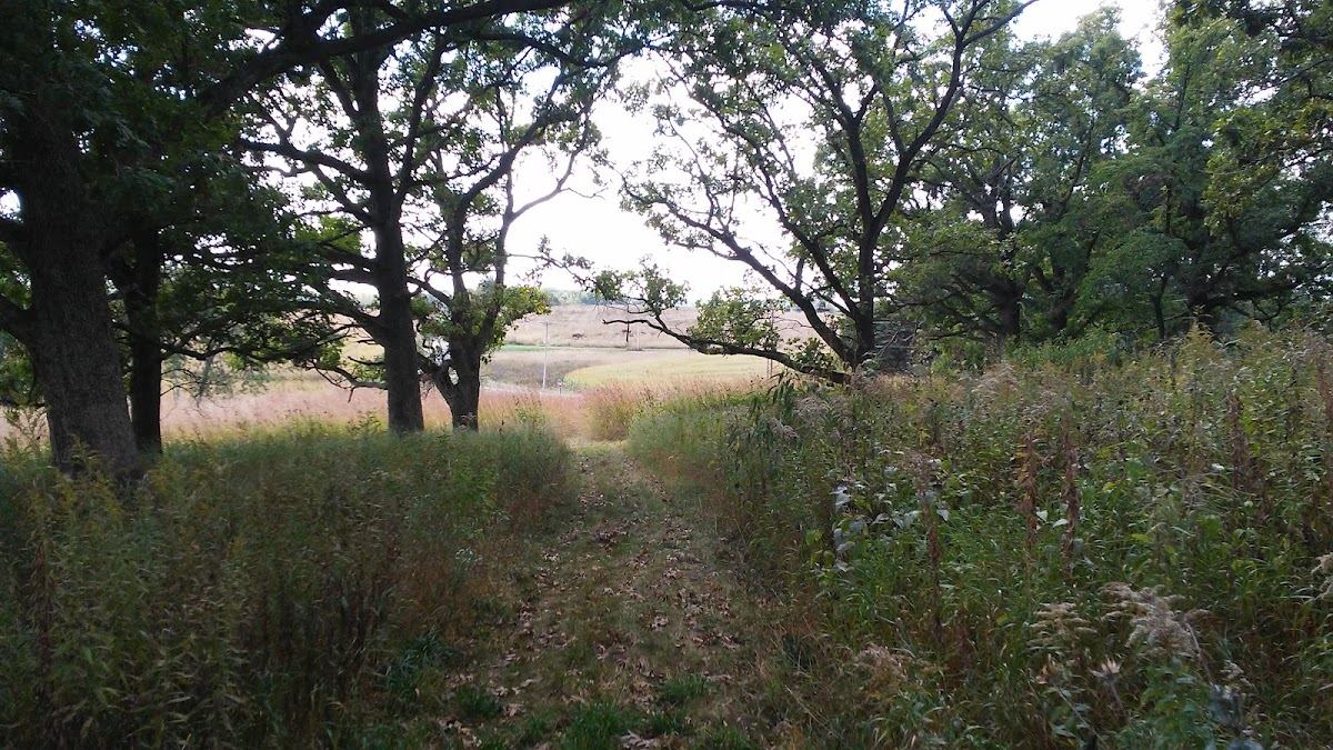 Sinaiko Park