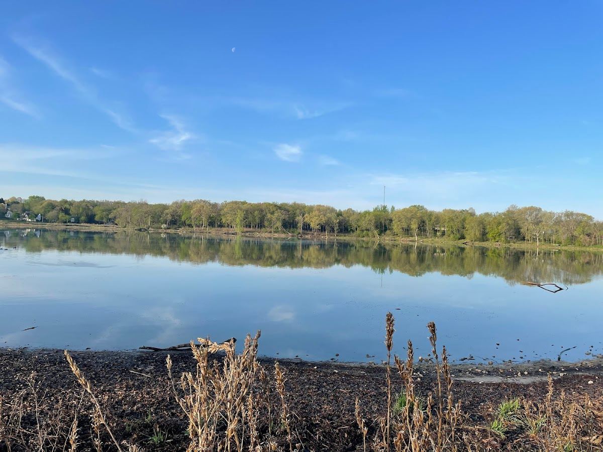 Stricker's Pond