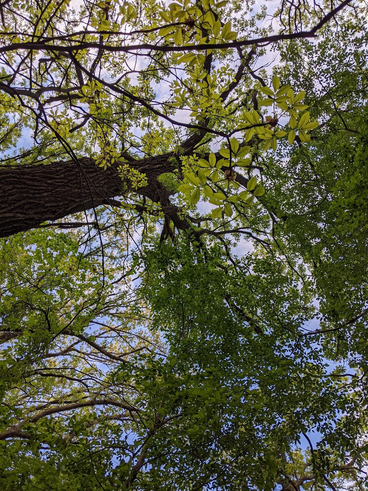 Valley Ridge Park