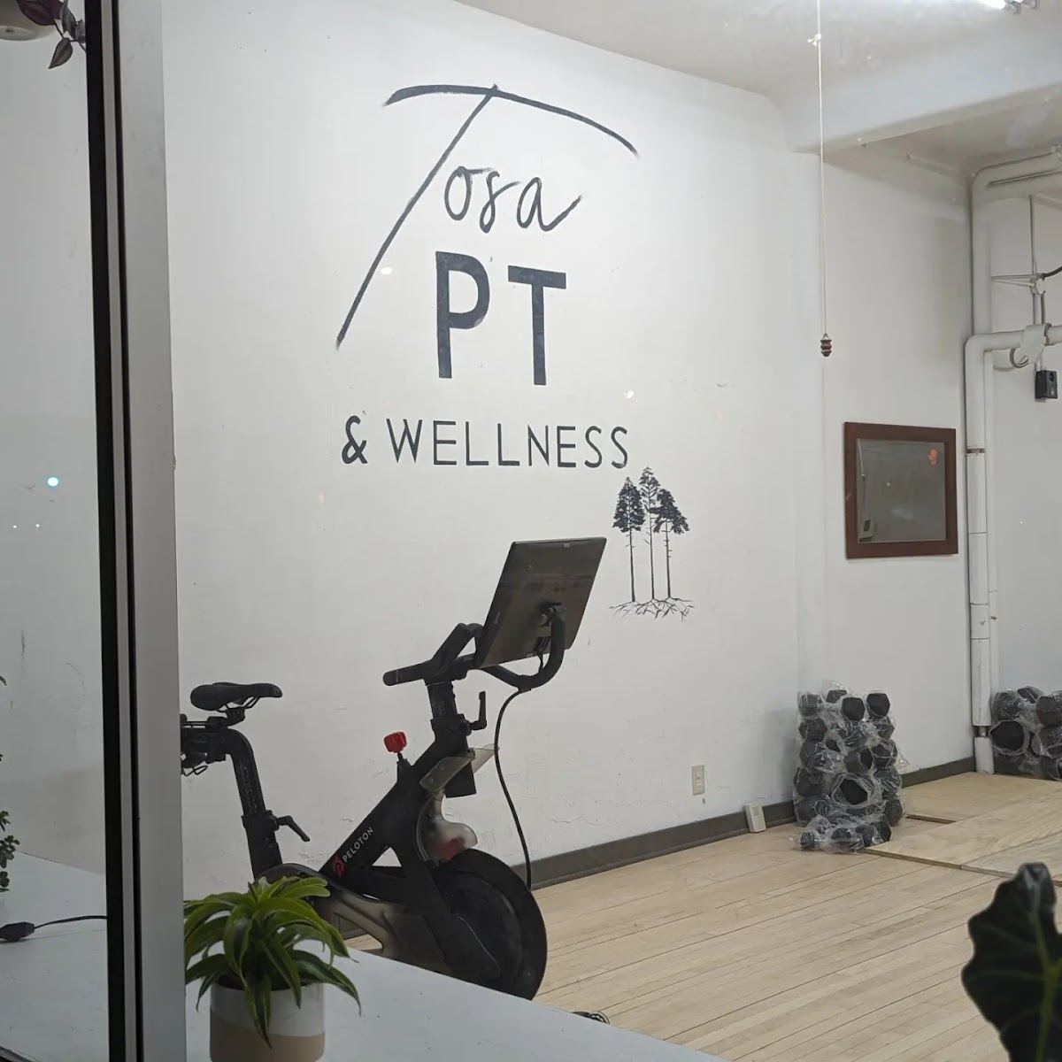 Tosa Physical Therapy and Wellness