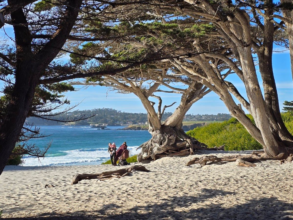 Carmel by the sea