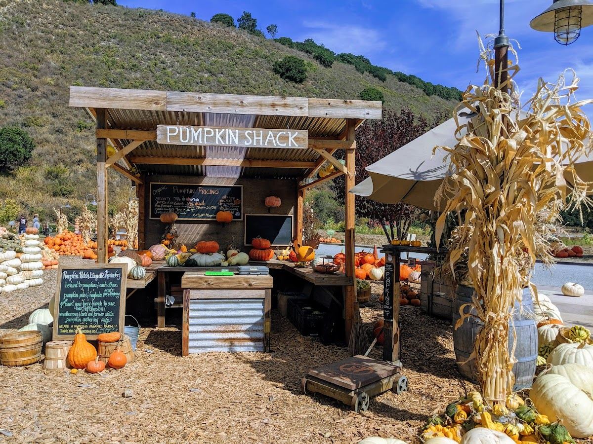 Earthbound Farm Stand